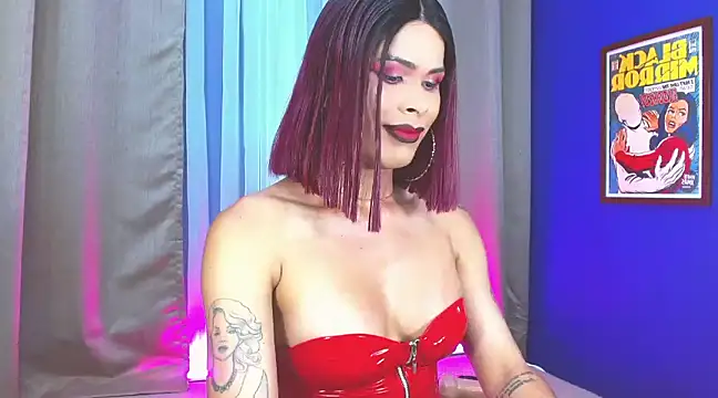 dark sailent online show from December 2024 11:02:02 PM