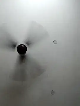 Snapshot of cutiecatty21 chatting on October 2025 10:36:01 AM cutiecatty21 online show from October 2025 10:36:01 AM