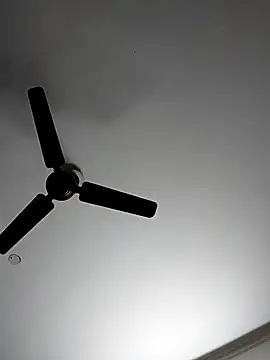 Snapshot of cutiecatty21 chatting on November 2025 10:58:02 AM cutiecatty21 online show from November 2025 10:58:02 AM