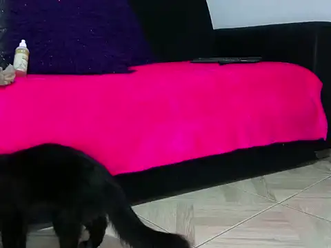 sasha-star11 online show from February 2025 09:47:02 AM