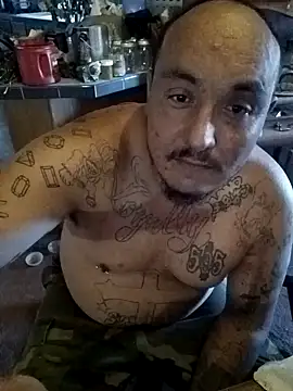 wilsons12 online show from September 2025 02:17:01 PM