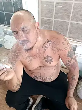 wilsons12 online show from September 2025 04:52:01 PM