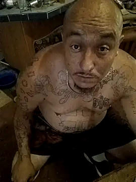 wilsons12 online show from October 2025 06:51:02 PM