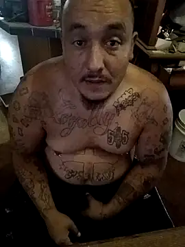 wilsons12 online show from October 2025 03:52:01 PM