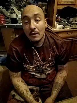 wilsons12 online show from December 2025 09:18:01 AM