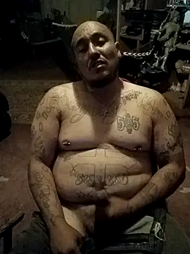 wilsons12 online show from April 2026 03:27:02 AM