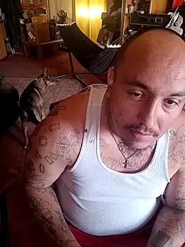 wilsons12 online show from April 2026 10:26:02 PM