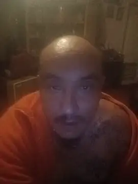 wilsons12 online show from July 2026 05:21:02 AM