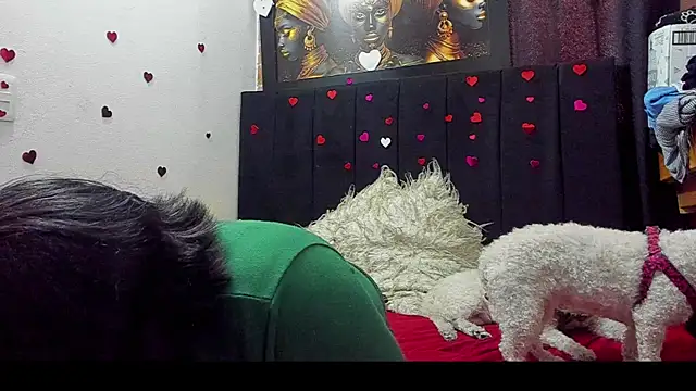 Evaaross 2345 online show from June 2026 08:37:02 PM