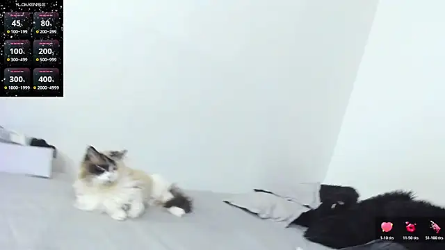 Snapshot of SophieBaker__ chatting on February 2026 02:10:02 AM SophieBaker online show from February 2026 02:10:02 AM