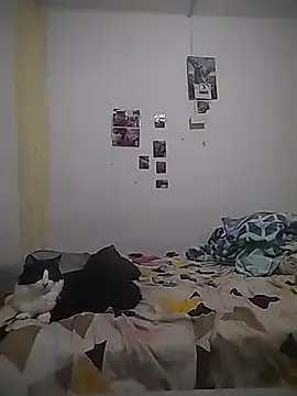 Snapshot of safira_hot chatting on February 2026 12:40:01 AM safira hot online show from February 2026 12:40:01 AM