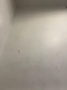 honeybrow online show from January 2025 09:55:02 PM