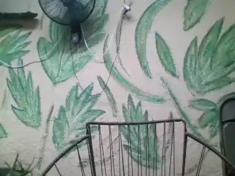 Snapshot of friendsloversex chatting on March 2025 05:02:02 PM friendsloversex online show from March 2025 05:02:02 PM