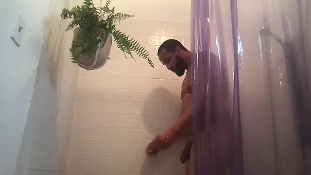 Z415 online show from October 2025 04:04:01 PM