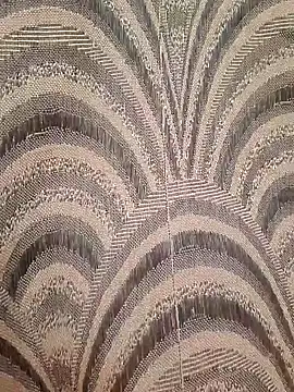 Smartboi007 online show from December 2024 11:51:02 AM