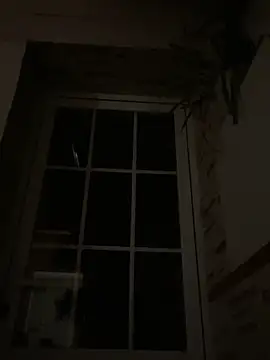 Imperial 10 online show from December 2024 02:46:01 AM