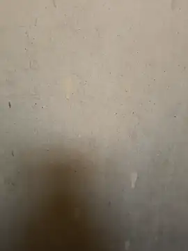 Snapshot of loveme99004 chatting on February 2026 02:29:01 AM loveme99004 online show from February 2026 02:29:01 AM