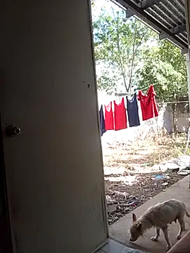 Andresguz35 online show from February 2026 08:23:01 PM