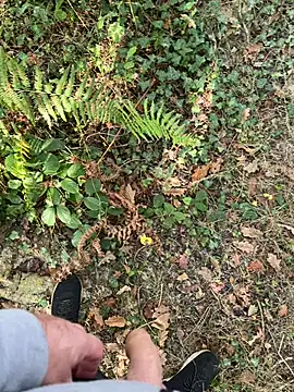 mj23641 online show from September 2025 07:57:02 AM