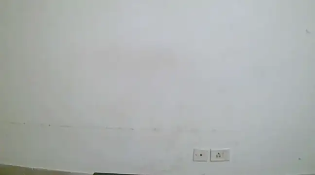 collage hoty online show from January 2025 01:00:02 AM