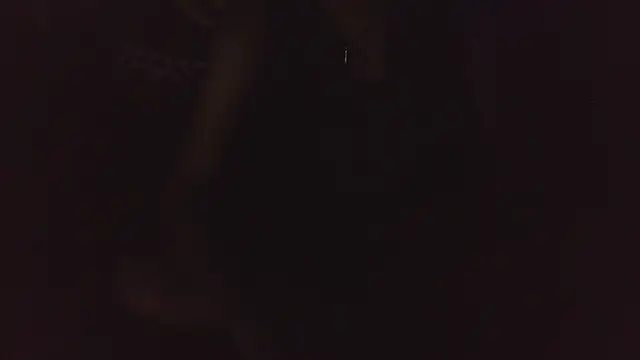 mystical zara online show from February 2026 02:46:01 PM