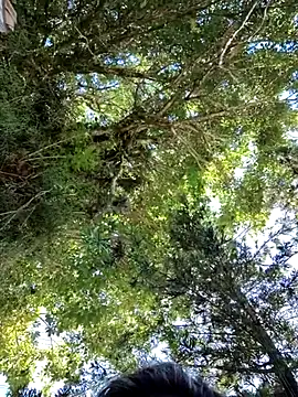 Snapshot of giselxxx_hot chatting on March 2025 02:34:01 PM giselxxx hot online show from March 2025 02:34:01 PM