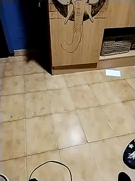 minitranca online show from November 2025 09:25:01 PM