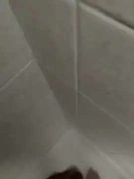 Snapshot of catopper0001 chatting on November 2025 03:23:01 PM catopper0001 online show from November 2025 03:23:01 PM