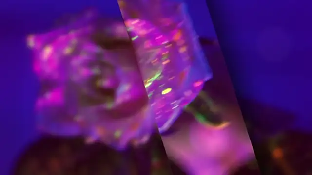 Snapshot of HeyBananas chatting on October 2025 05:56:01 PM HeyBananas online show from October 2025 05:56:01 PM