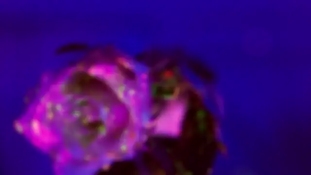 Snapshot of HeyBananas chatting on January 2026 07:28:02 PM HeyBananas online show from January 2026 07:28:02 PM