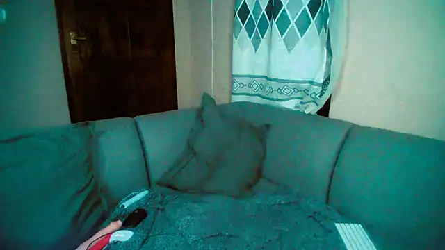 GoldenPussyXOXO online show from December 2024 11:40:01 PM