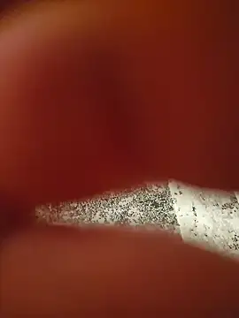 Snapshot of Warumnicht1980 chatting on November 2025 07:35:01 PM Warumnicht1980 online show from November 2025 07:35:01 PM