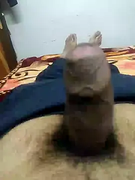 fuckboi2103 online show from January 2025 08:54:01 AM