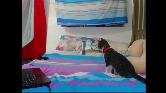 perverted couple - online show from December 2024 01:08:01 AM