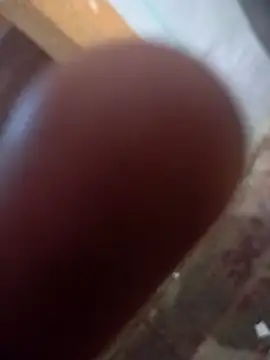 lavancaafiada online show from March 2025 09:40:02 AM