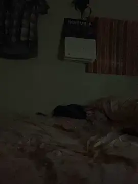 Snapshot of Johnras121 chatting on November 2025 07:24:02 PM Johnras121 online show from November 2025 07:24:02 PM