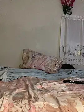 Snapshot of Johnras121 chatting on March 2026 11:14:01 AM Johnras121 online show from March 2026 11:14:01 AM