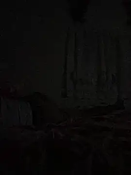 Snapshot of Johnras121 chatting on March 2026 04:27:02 AM Johnras121 online show from March 2026 04:27:02 AM