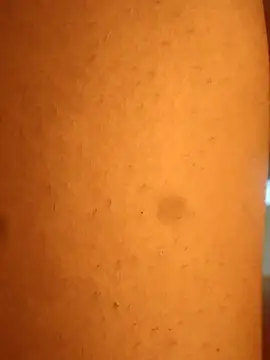 Snapshot of rohitlov150 chatting on February 2025 01:46:02 AM rohitlov150 online show from February 2025 01:46:02 AM