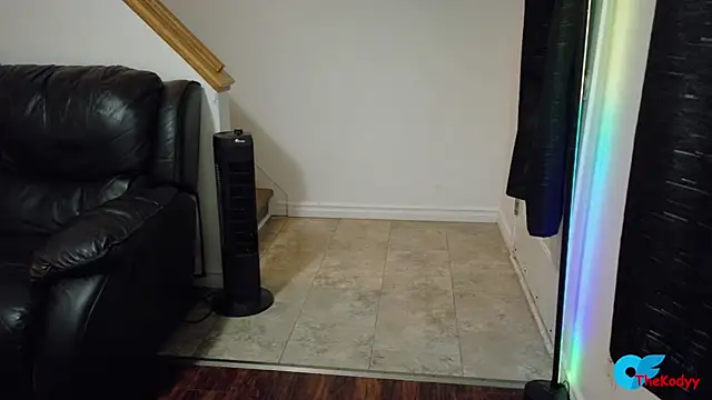 Thekodyy online show from June 2026 04:46:01 AM