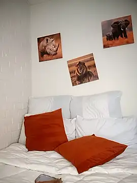 Shria107 online show from January 2026 11:45:02 AM