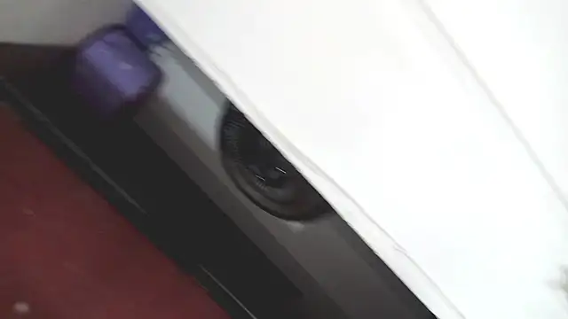 Snapshot of PetiteIvoryQueen19 chatting on March 2025 03:40:01 AM PetiteIvoryQueen19 online show from March 2025 03:40:01 AM