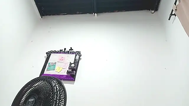 Snapshot of PetiteIvoryQueen19 chatting on March 2025 05:24:02 AM PetiteIvoryQueen19 online show from March 2025 05:24:02 AM