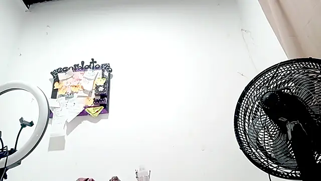 Snapshot of PetiteIvoryQueen19 chatting on October 2025 05:41:01 AM PetiteIvoryQueen19 online show from October 2025 05:41:01 AM