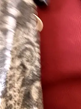 Ananya 34 online show from December 2025 03:14:02 AM