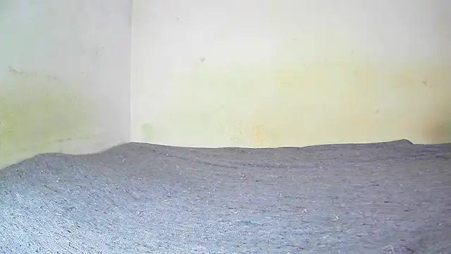 Snapshot of fern_tlk chatting on January 2025 07:58:02 PM fern tlk online show from January 2025 07:58:02 PM