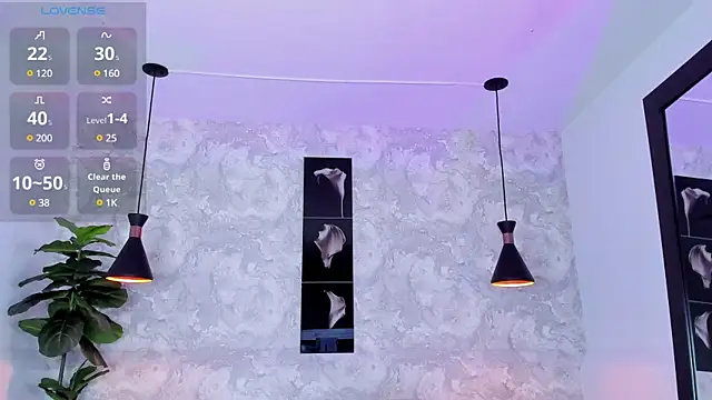 Snapshot of Regan__ chatting on February 2025 04:54:01 AM Regan online show from February 2025 04:54:01 AM