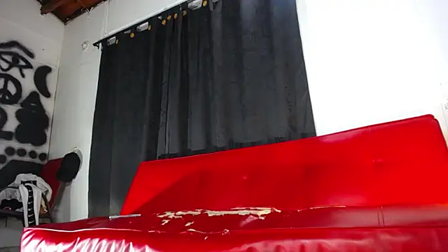 Snapshot of Dexter-T chatting on January 2025 05:06:02 AM Dexter-T online show from January 2025 05:06:02 AM