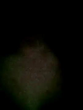 Kasandra02 online show from March 2025 06:46:02 AM