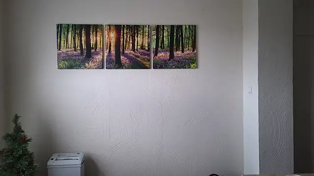 Harry Boldt online show from December 2024 10:10:02 AM